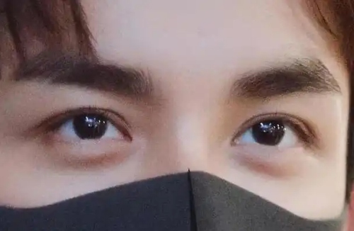 狮子男最宠爱的星座女 狮子座男生的恋爱方式